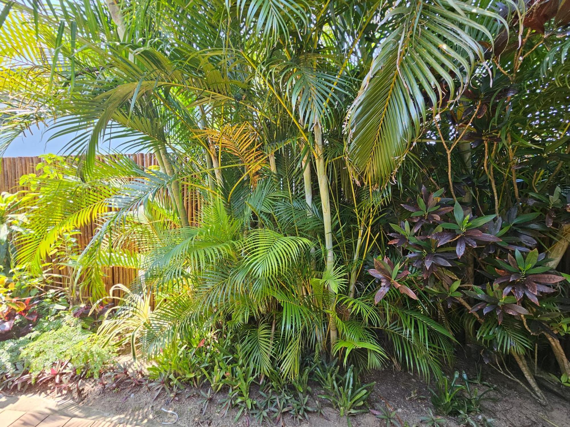 Leopard Corner Lodge Saint Lucia Estuary Buitenkant foto